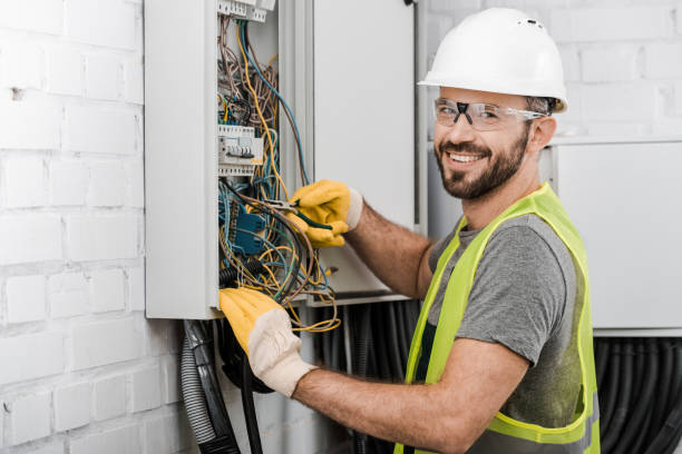 Best Electrical System Inspection  in Dowagiac, MI